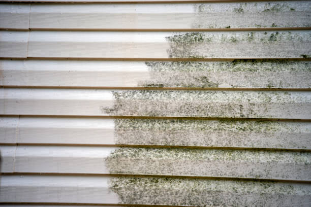 Best Fascia and Soffit Installation  in Williston, ND
