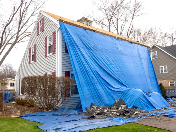 Best Stone Veneer Siding  in Williston, ND