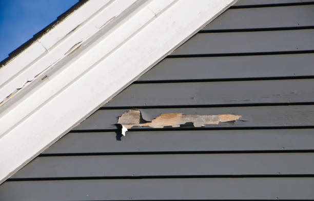 Best Residential Vinyl Siding Installation  in Williston, ND
