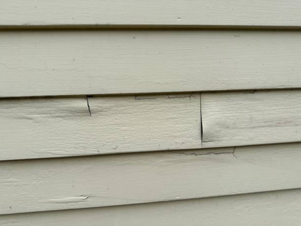 Best Insulated Siding Installation  in Williston, ND
